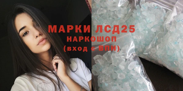 стаф Новокубанск