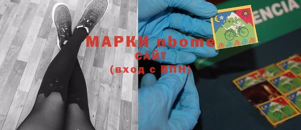 стаф Новокубанск