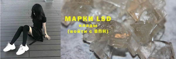 ешки Новозыбков