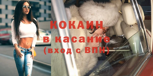 стаф Новокубанск