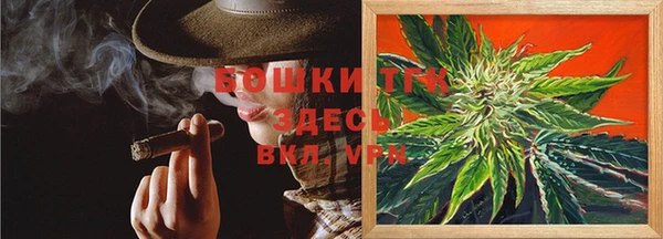стаф Новокубанск