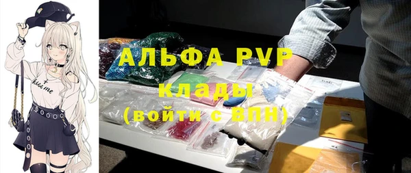 стаф Новокубанск