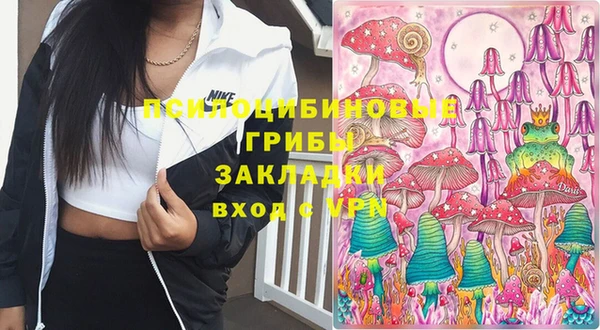 гашиш Новодвинск