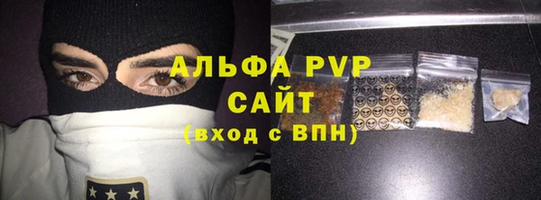стаф Новокубанск