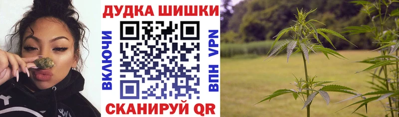 Каннабис семена  Ильский 